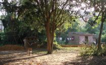 Kindergarten Sao Miguel Kindergarten Sao Miguel in Jardim de Jacira